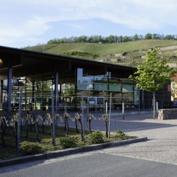 Radebeul Schloss Wackerbarth